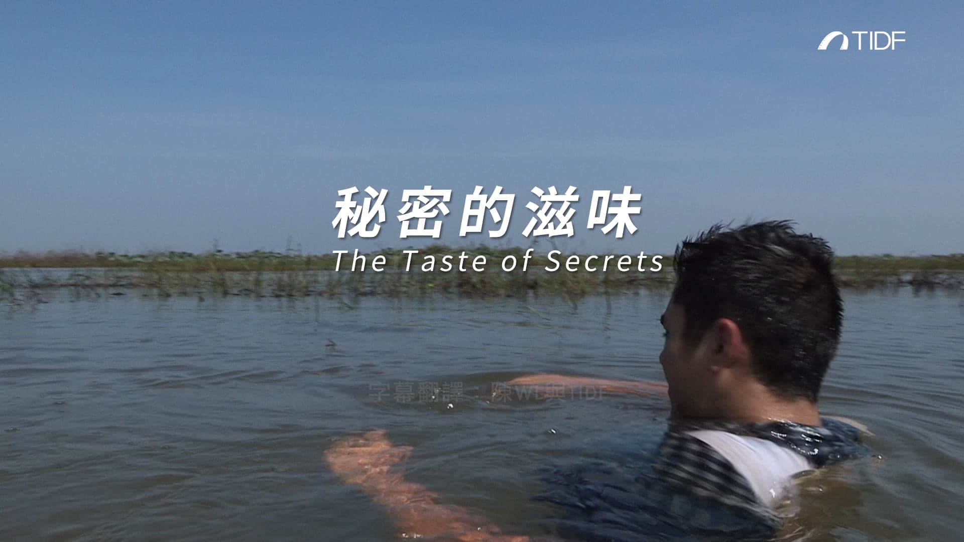 預告片