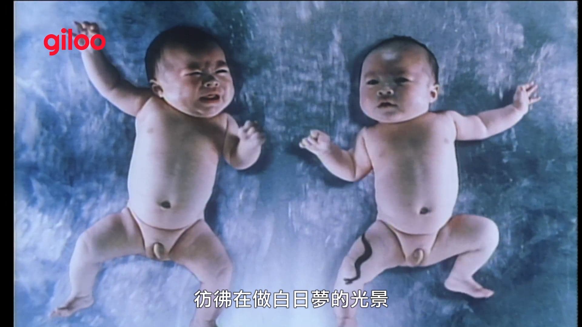預告片