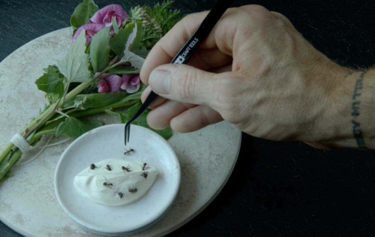 NOMA: My Perfect Storm