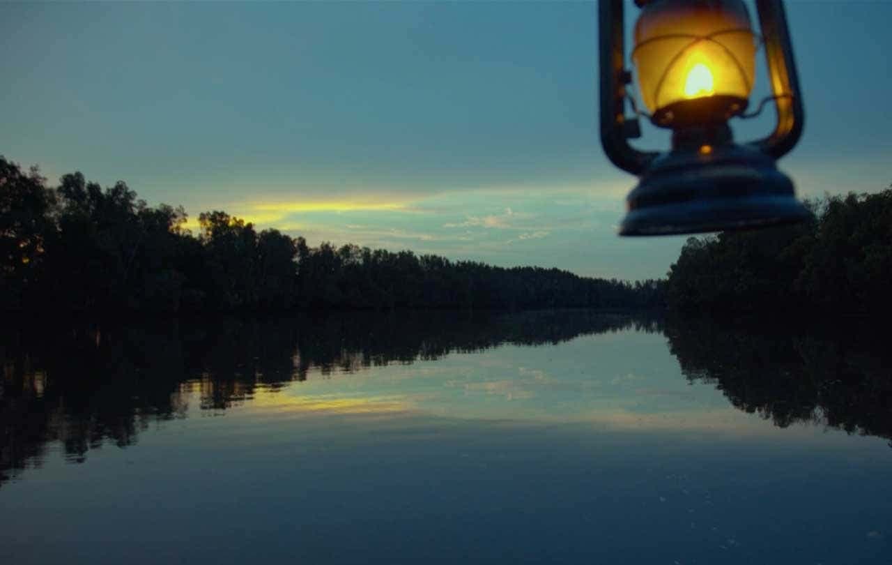 Firefly