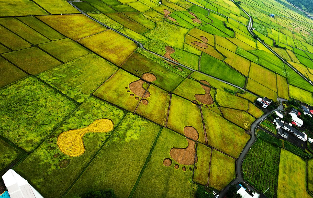 Beyond Beauty – Taiwan from Above