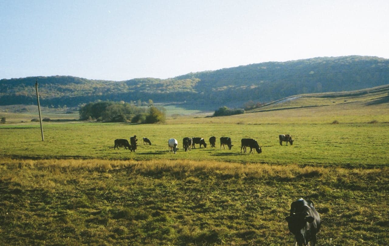 In Sarmatia