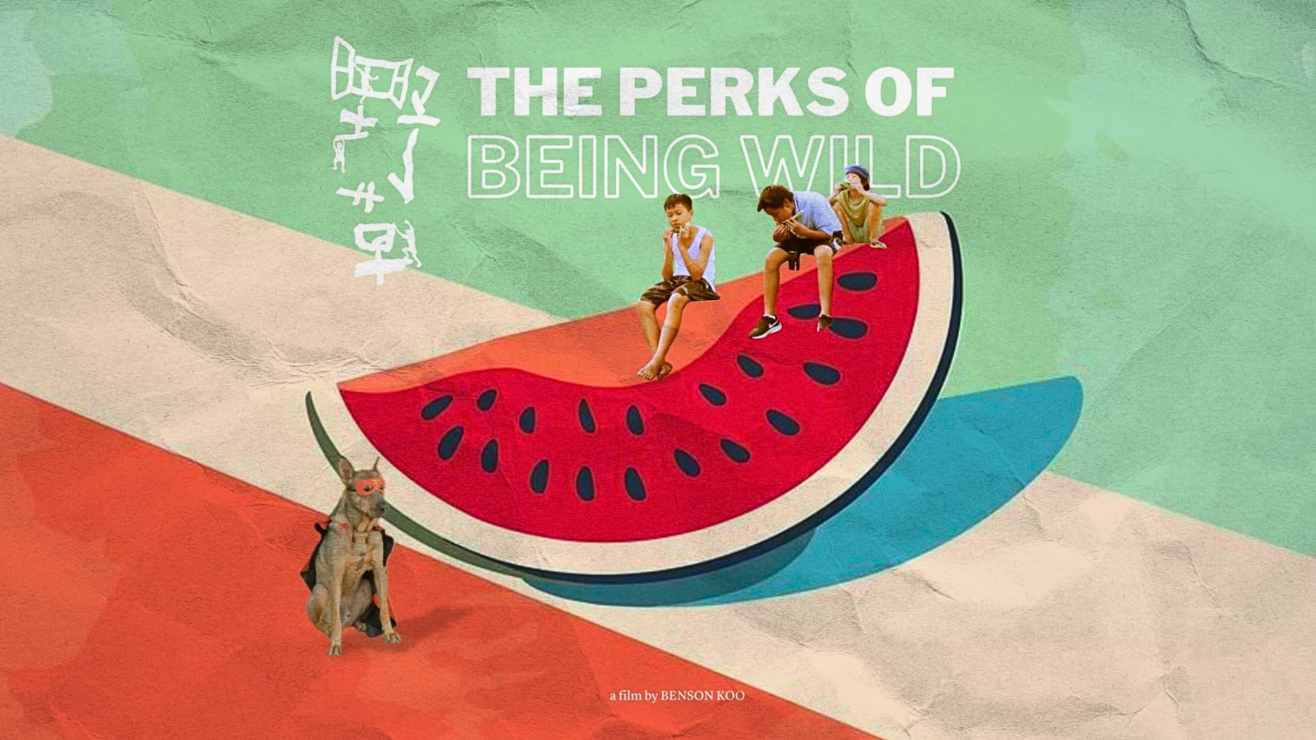 The Perks of Being Wild
